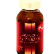 Nấm Agaricus 3